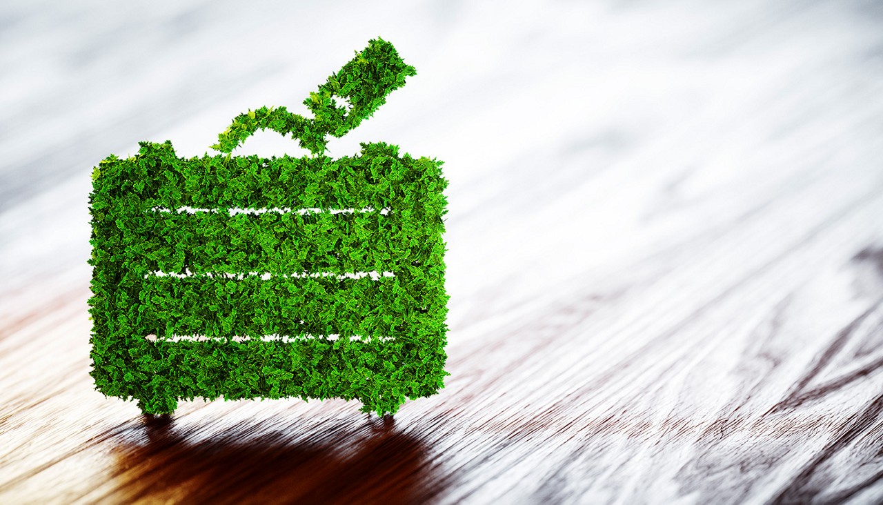 3D illustration of a suitcase made up of green leaves