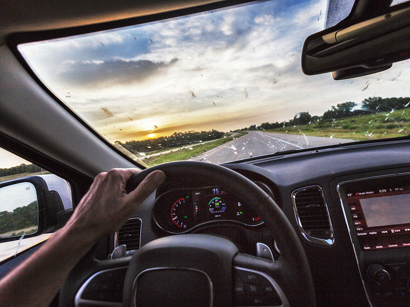 Dead Bugs on Your Windshield? The Science Behind Bug Splatter