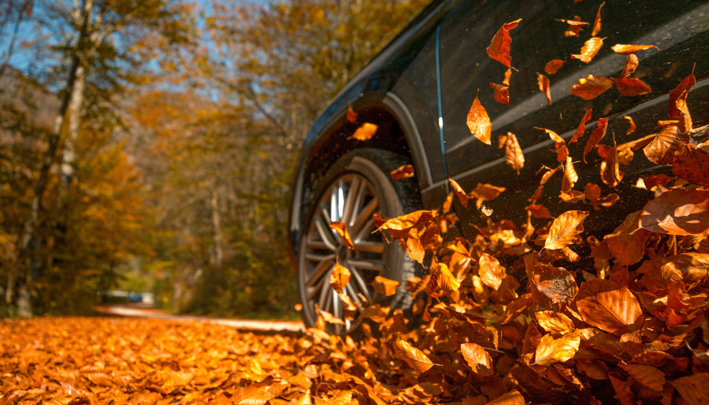 Fall Driving Tips: Staying Safe as Seasons Change