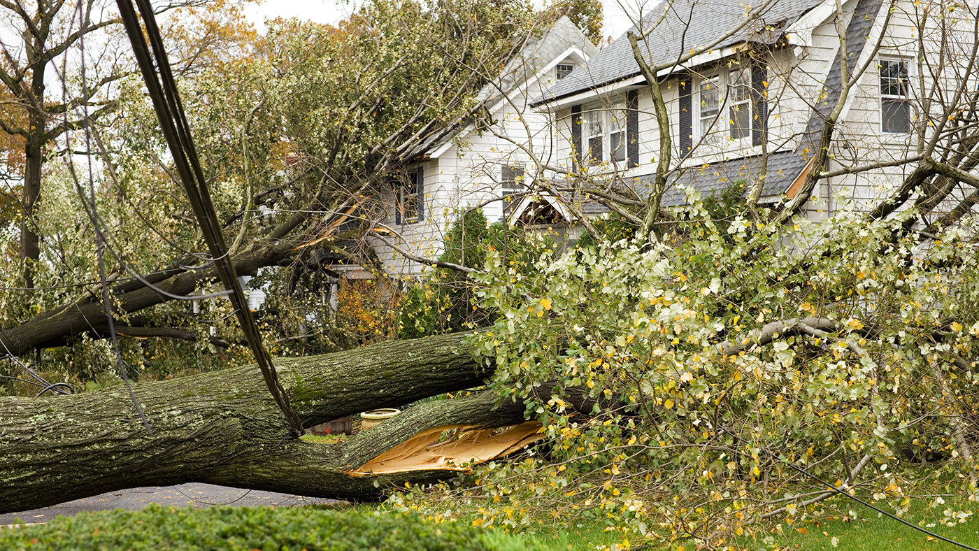 Severe Weather Safety Tips: What To Watch For After a Storm