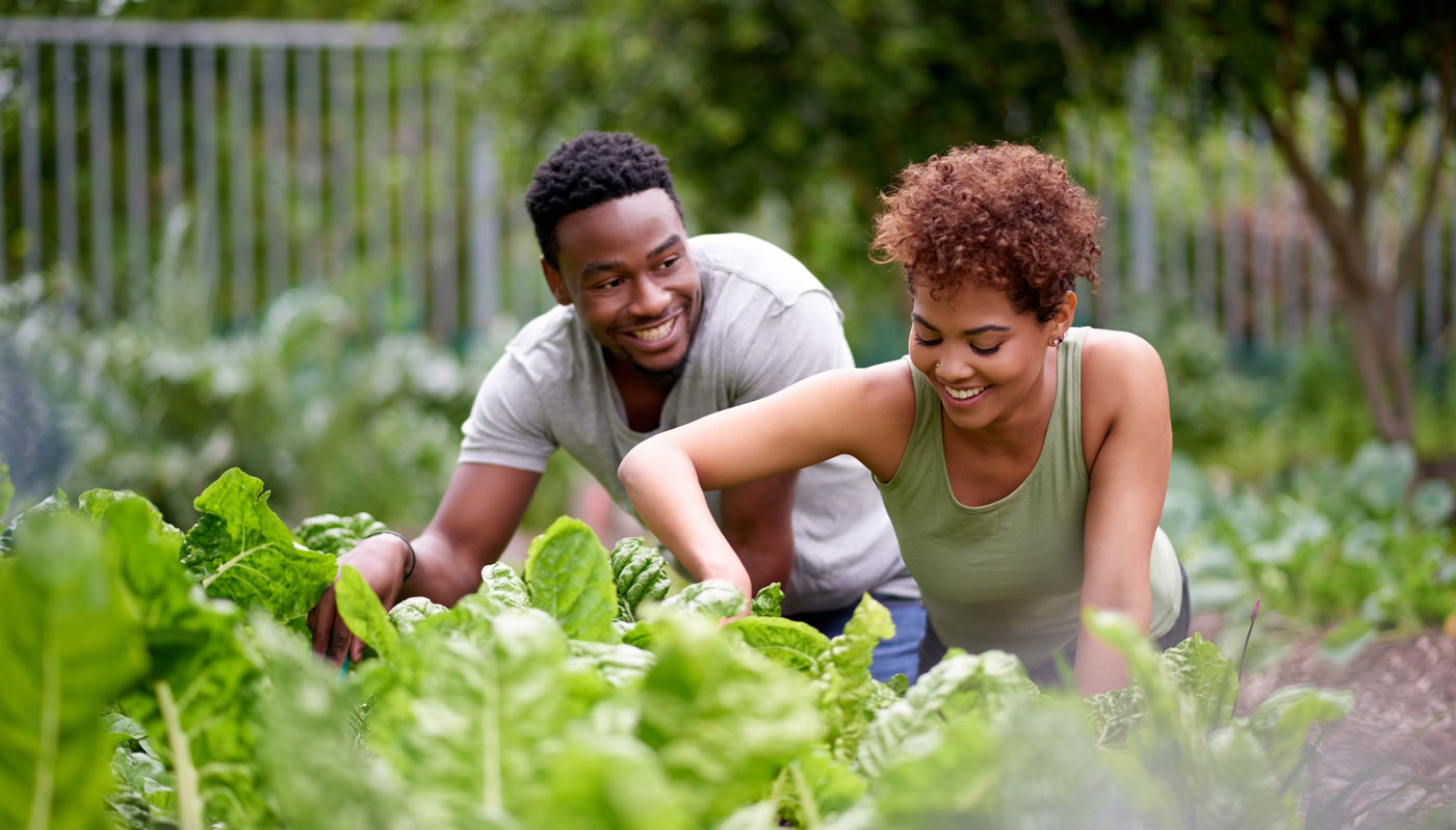 The Self-Sufficient Life—What You Need to Know About Homesteading