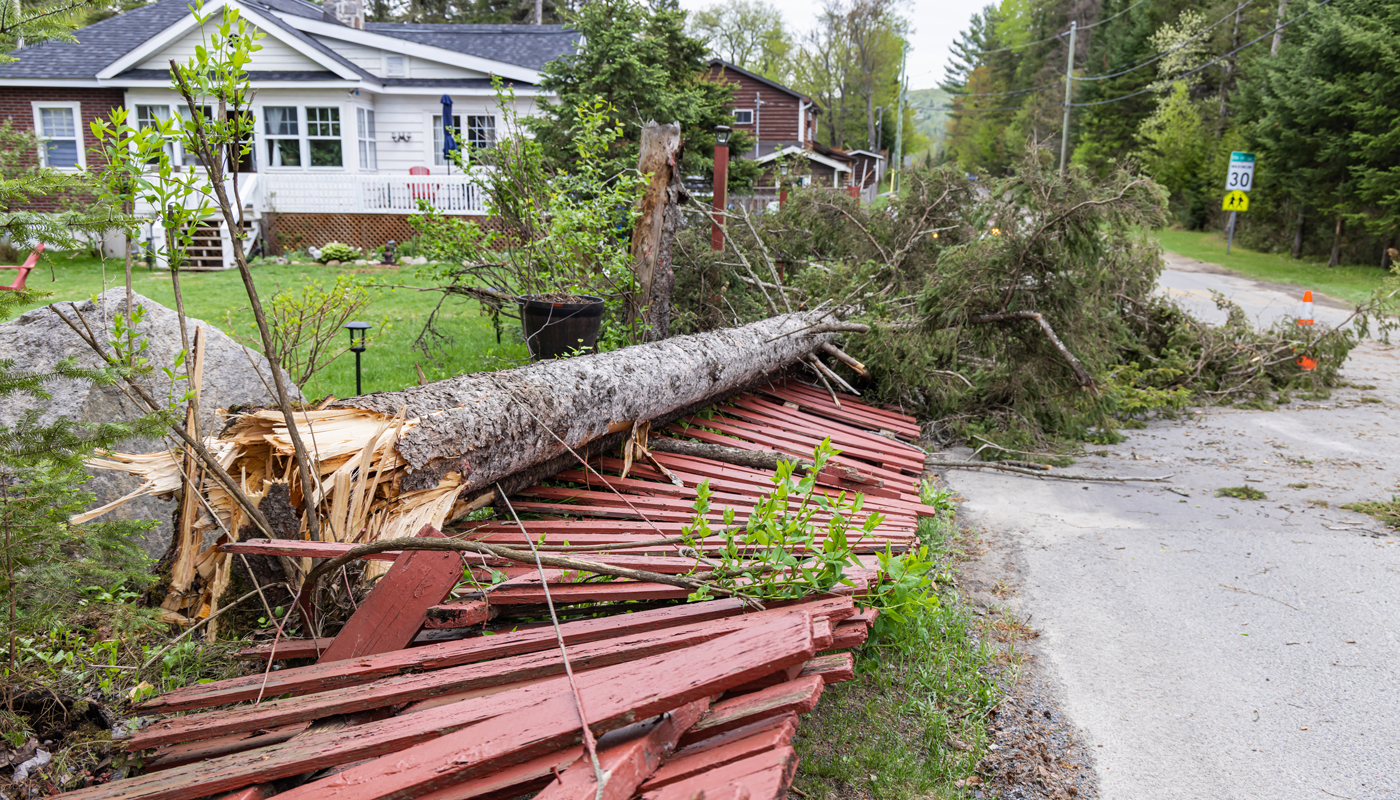 Who Is Responsible When Your Tree Falls on a Neighbor's Property?