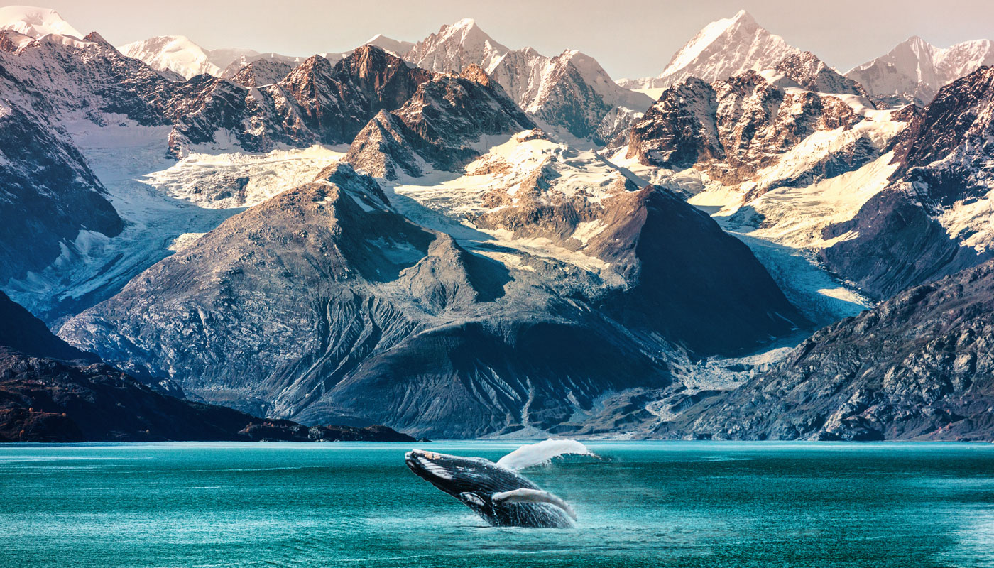 How to Chart Your Dream Alaskan Cruise: Tips and Insights