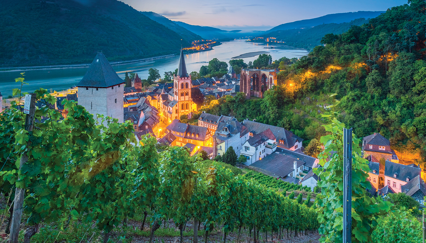 The Experience of a Rhine River Cruise