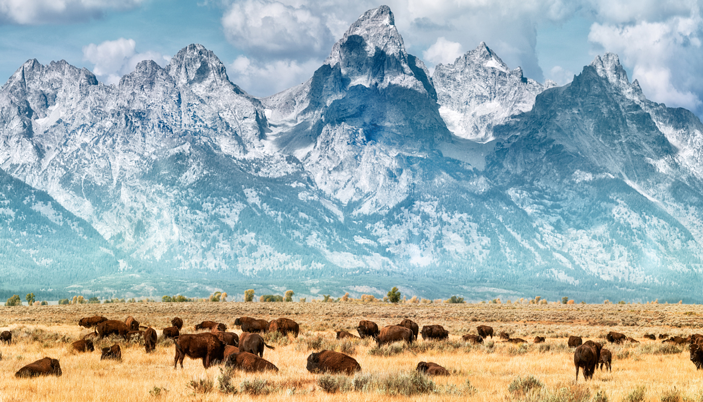 Discover the Best National Parks in North America with Trafalgar Tours