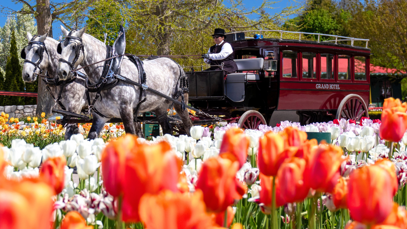 ‘Yes, You May’ Fly to Mackinac Island!