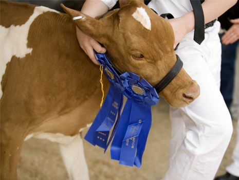 Nebraska Cattlemen's Classic: Kearney