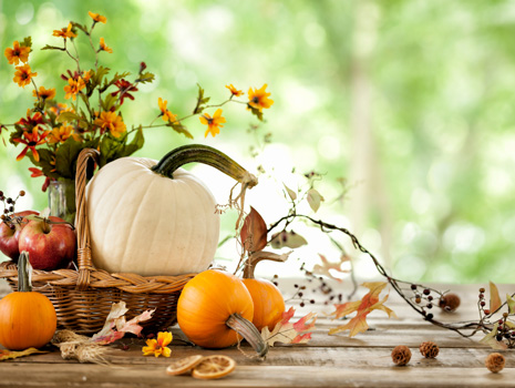 Johns Island Harvest Festival -- Johns Island