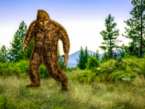 WNC Bigfoot Festival -- Marion