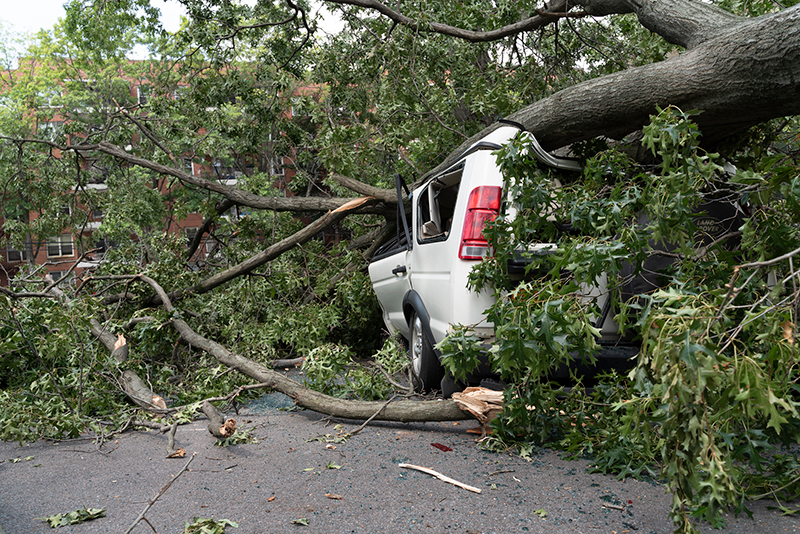 Insurance, Bad Weather, and You