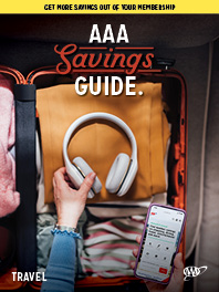 Travel Savings Guide