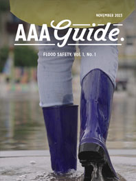 Flood Safety Guide