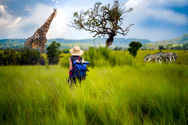 Discover South Africa's Rich Experiences with African Travel, Inc.